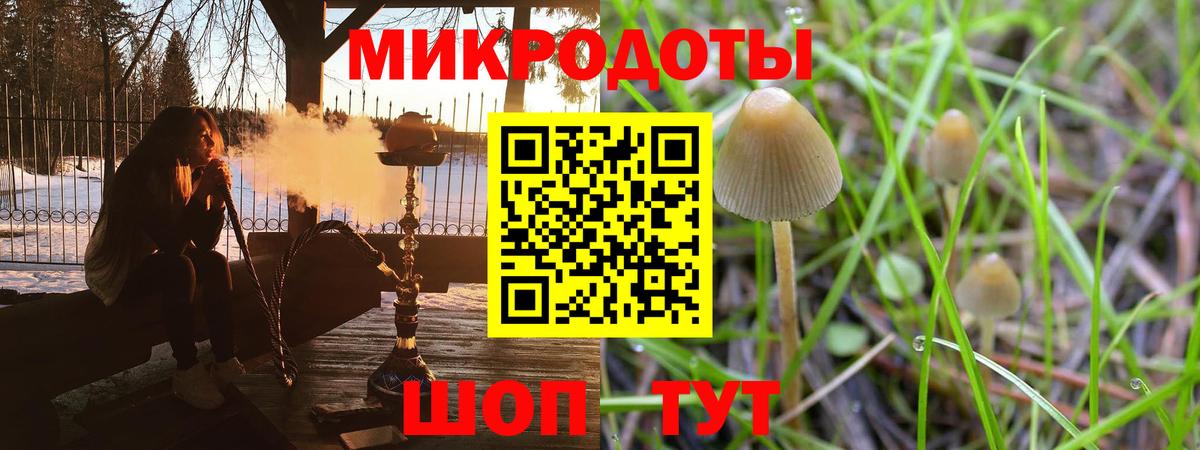 Галлюциногенные грибы MAGIC MUSHROOMS Фролово